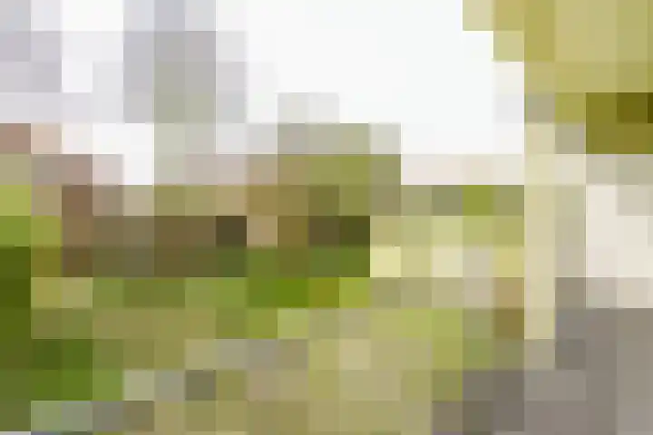 Eksterlaan 218 Haarlem thumbnail 18