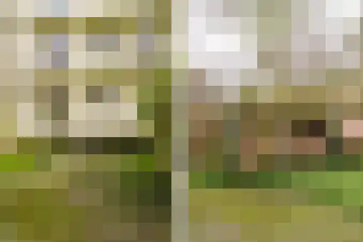 Eksterlaan 218 Haarlem thumbnail 20