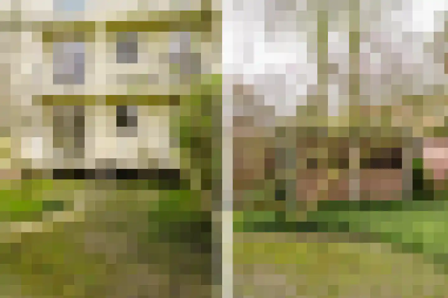Eksterlaan 218 Haarlem thumbnail 20