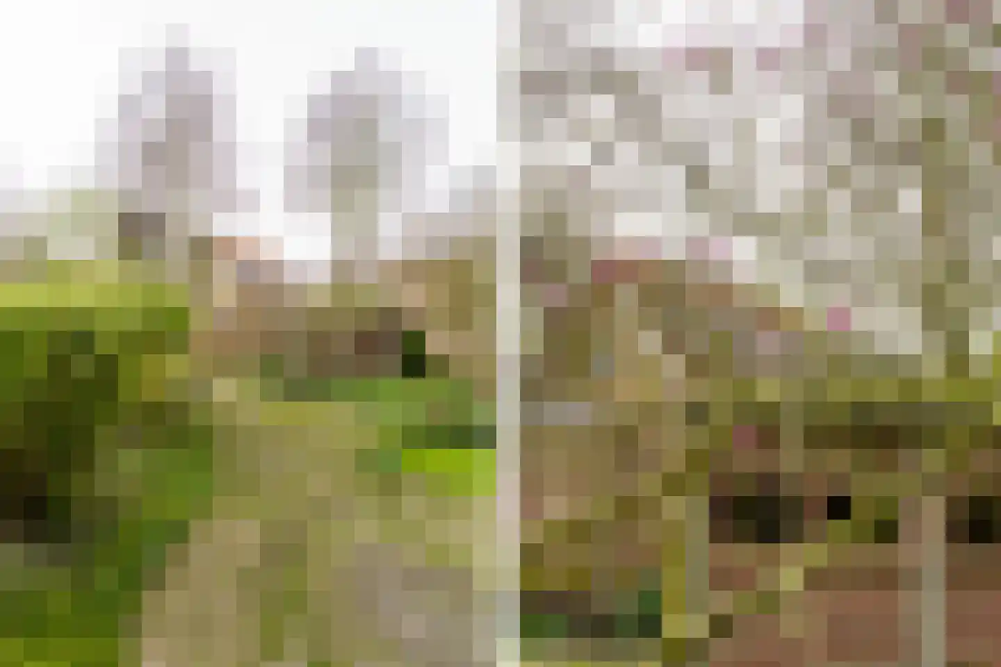 Eksterlaan 218 Haarlem thumbnail 21