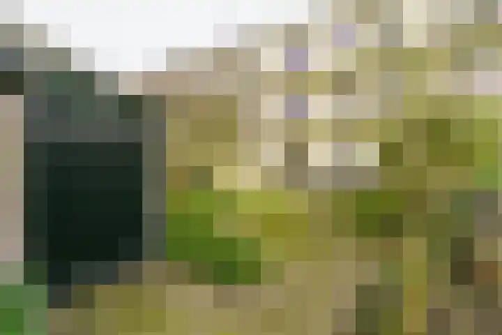 Eksterlaan 218 Haarlem thumbnail 22
