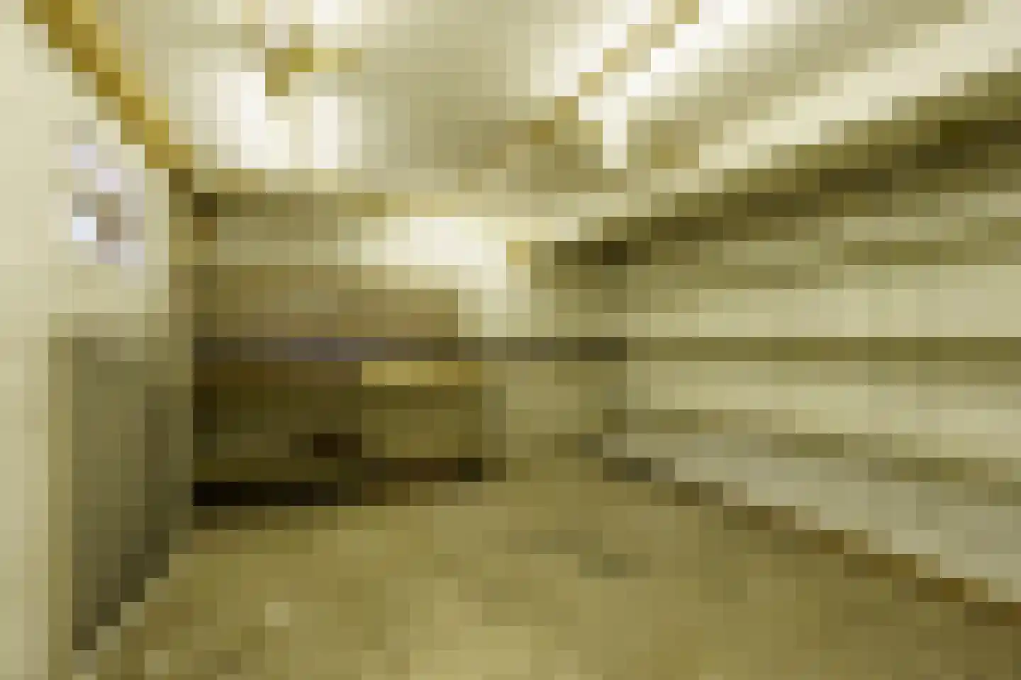 Eksterlaan 218 Haarlem thumbnail 23
