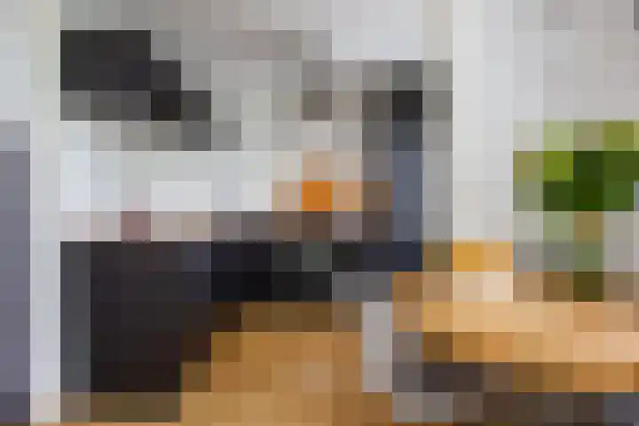 Eksterlaan 246 Haarlem thumbnail 11