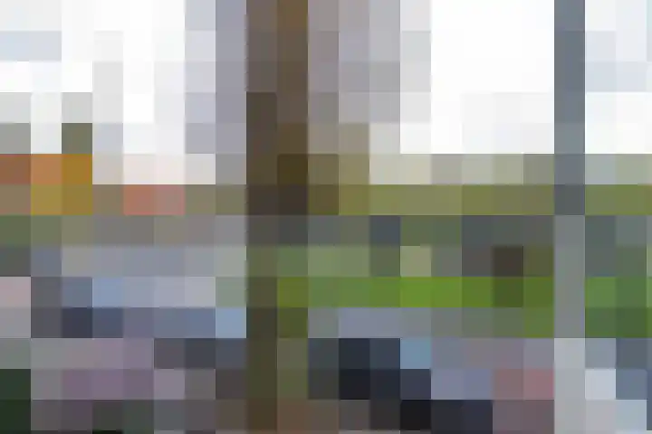 Eksterlaan 246 Haarlem thumbnail 15