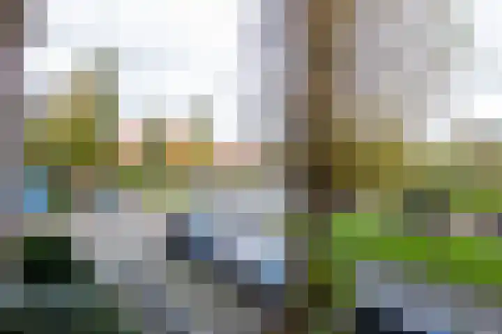 Eksterlaan 246 Haarlem thumbnail 16