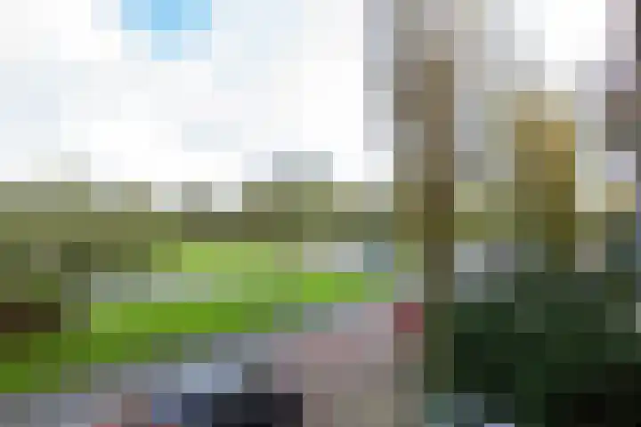Eksterlaan 246 Haarlem thumbnail 17