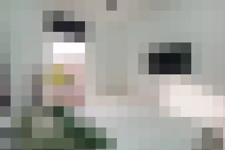 Eksterlaan 246 Haarlem thumbnail 19