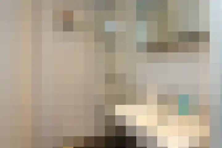 Eksterlaan 246 Haarlem thumbnail 23