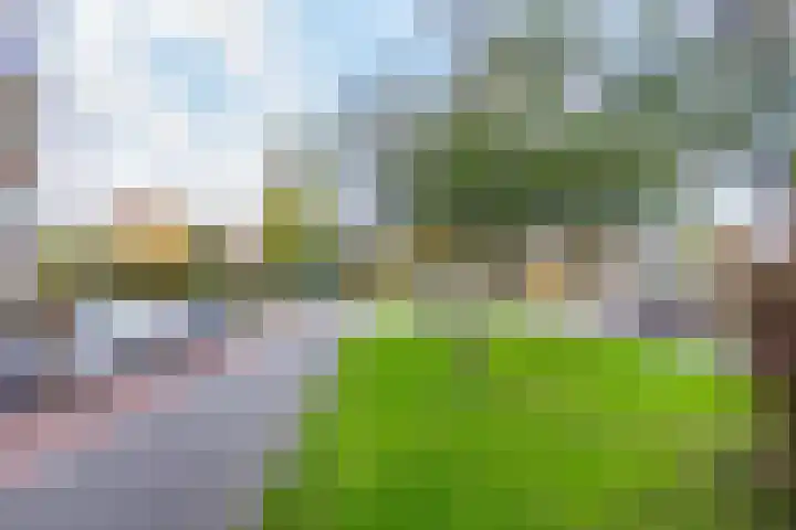 Eksterlaan 246 Haarlem thumbnail 30