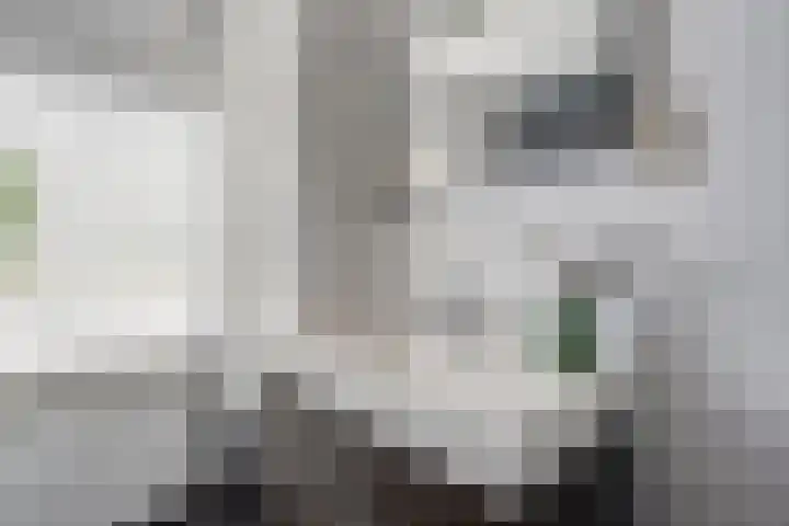 Eksterlaan 256 Haarlem thumbnail 19