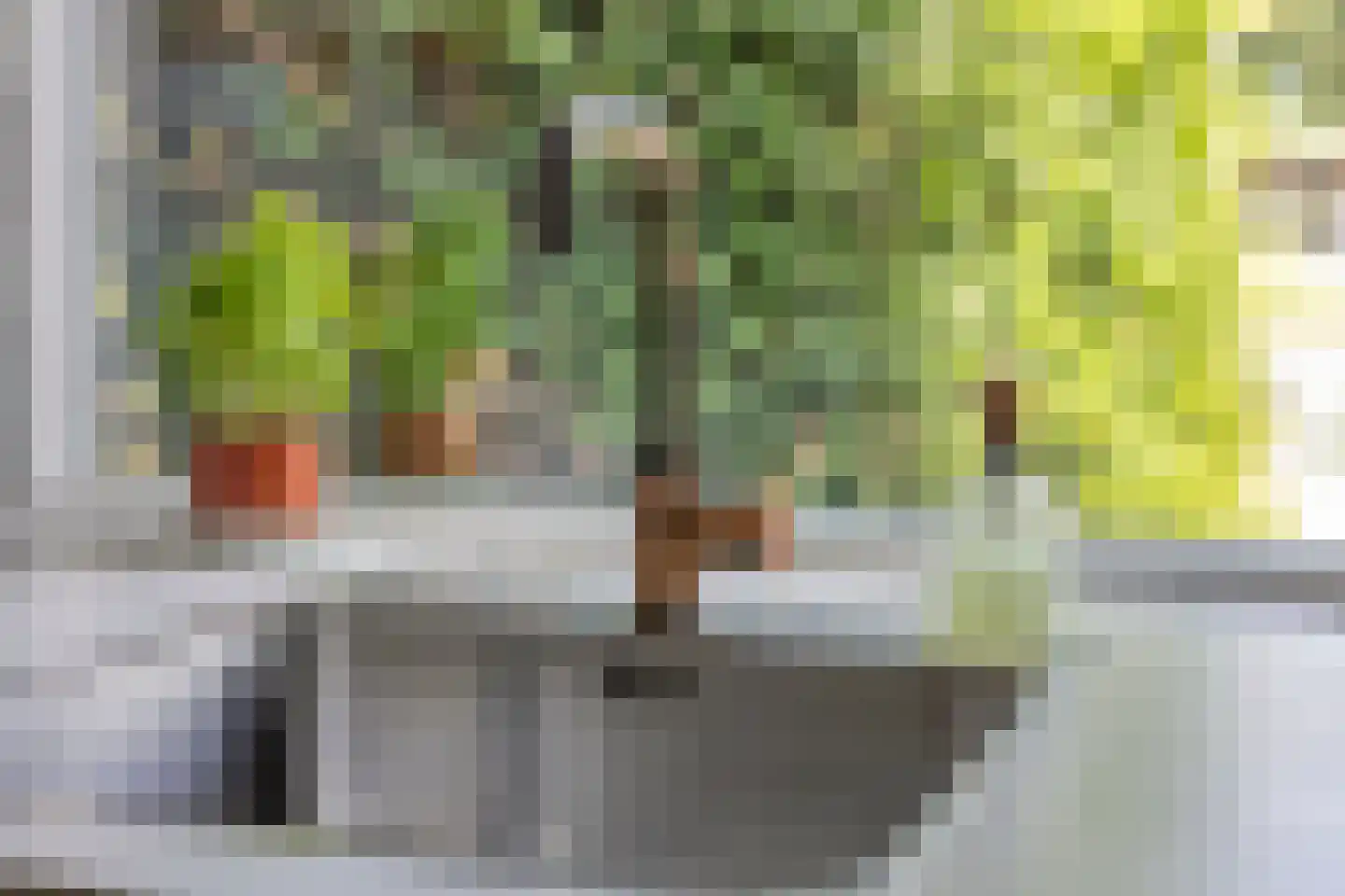 Eksterlaan 274 Haarlem thumbnail 14
