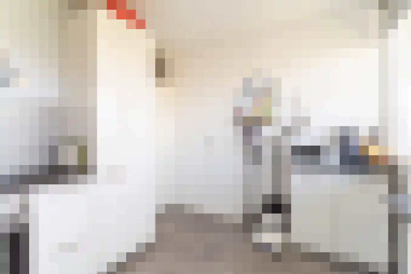 Eksterlaan 276 Vlaardingen thumbnail 15