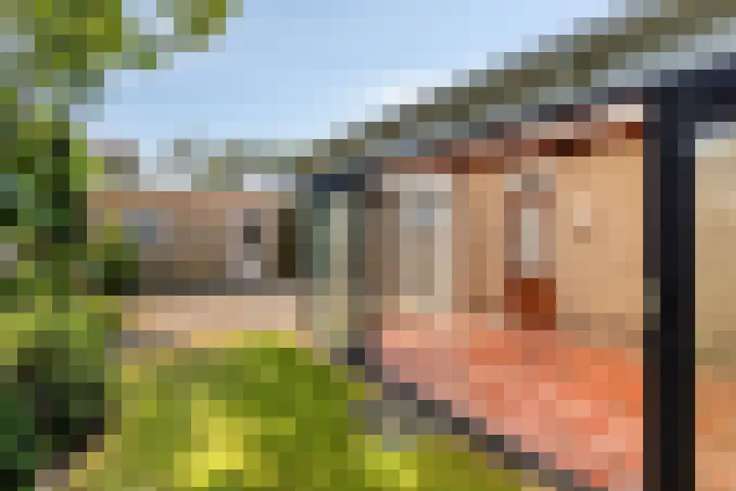 Eksterlaan 3 Mierlo thumbnail 23