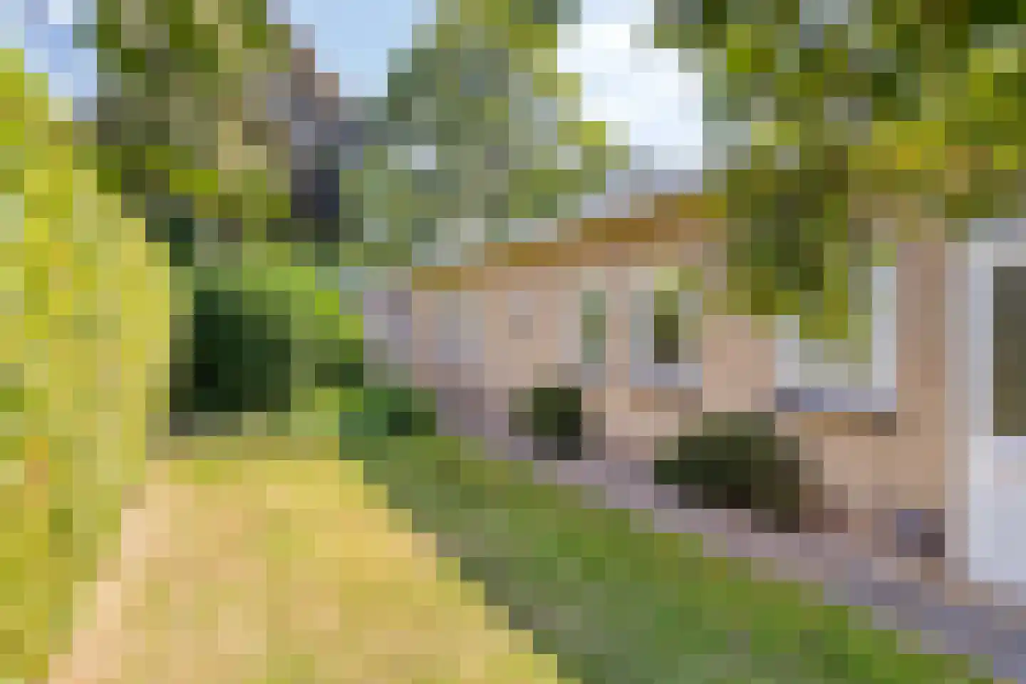Eksterlaan 3 Mierlo thumbnail 27