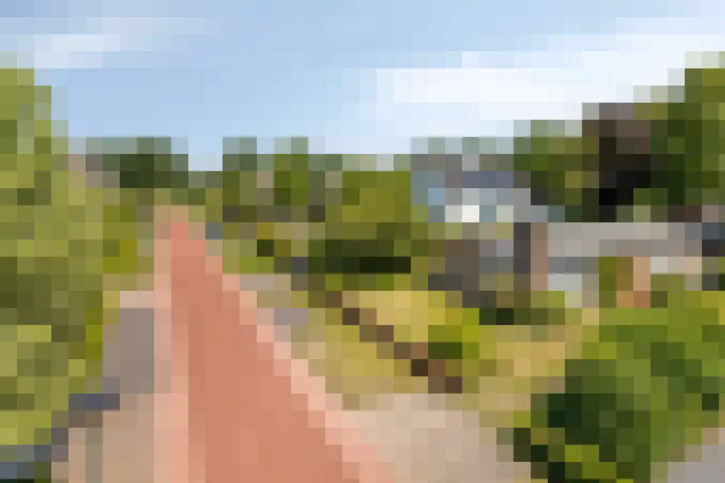 Eksterlaan 3 Mierlo thumbnail 32