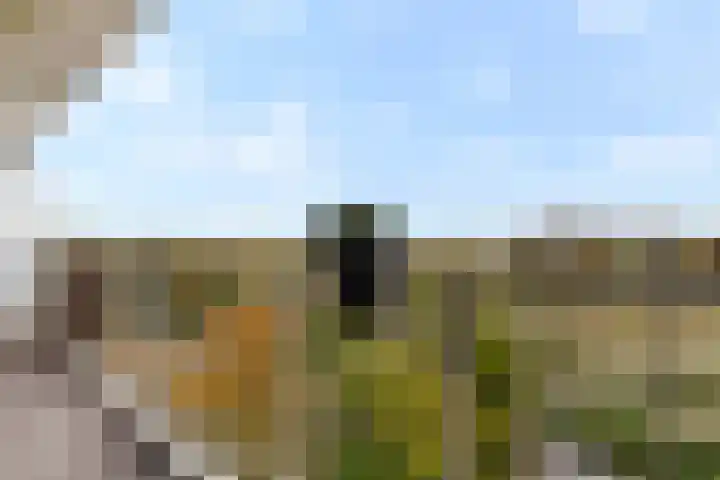 Eksterlaan 304 Vlaardingen thumbnail 10