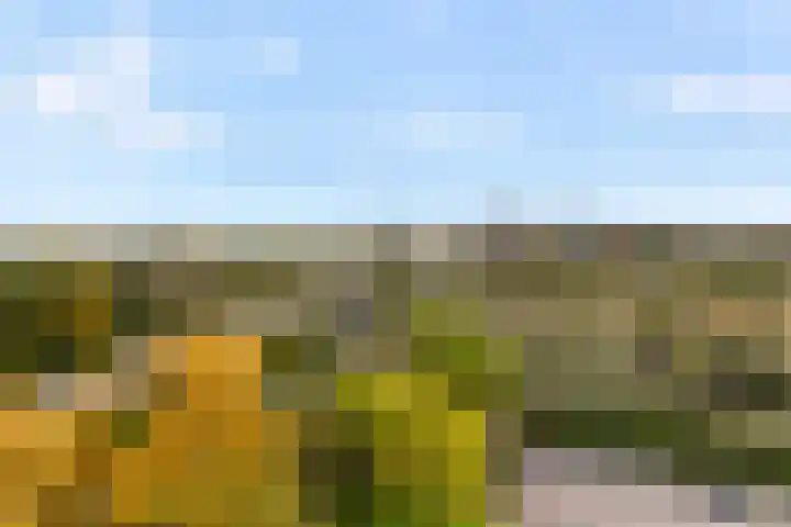 Eksterlaan 304 Vlaardingen thumbnail 11