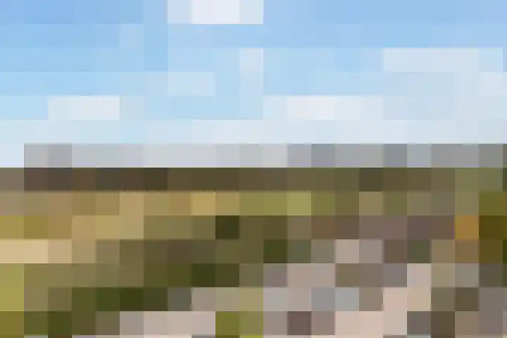 Eksterlaan 304 Vlaardingen thumbnail 12