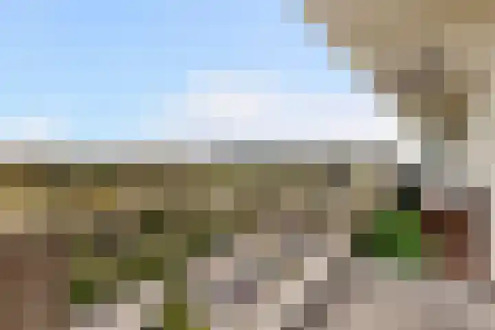 Eksterlaan 304 Vlaardingen thumbnail 13