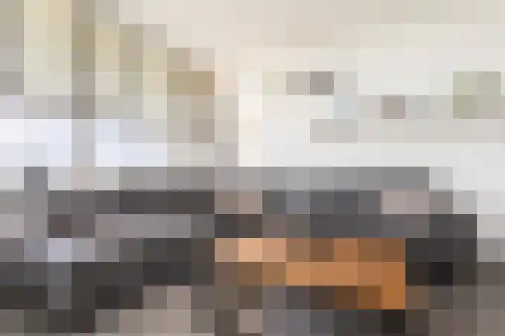 Eksterlaan 304 Vlaardingen thumbnail 14
