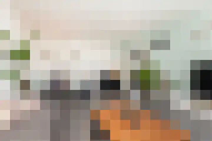 Eksterlaan 304 Vlaardingen thumbnail 15