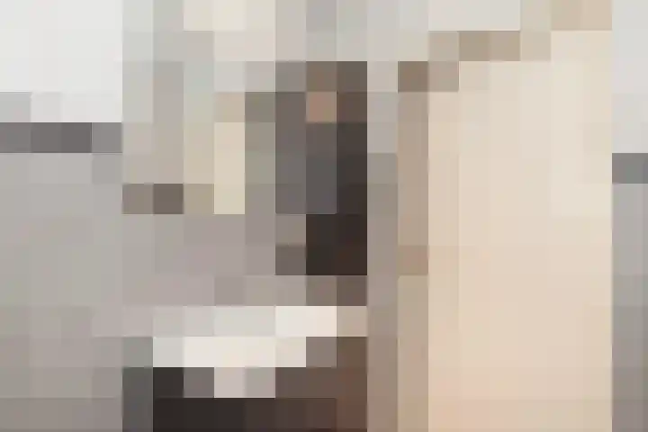 Eksterlaan 304 Vlaardingen thumbnail 23