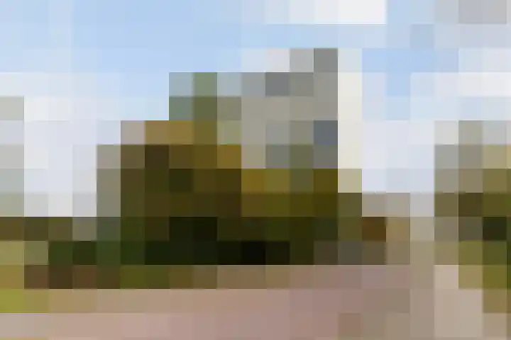 Eksterlaan 304 Vlaardingen thumbnail 32