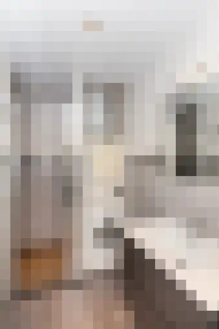 Eksterlaan 304 Vlaardingen thumbnail 4
