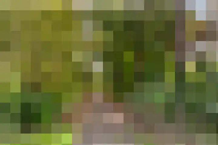 Eksterlaan 304 Vlaardingen thumbnail 41