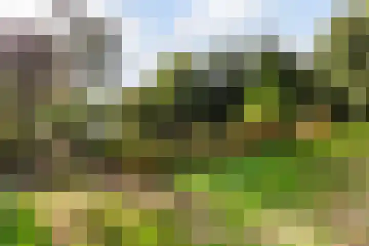 Eksterlaan 304 Vlaardingen thumbnail 42