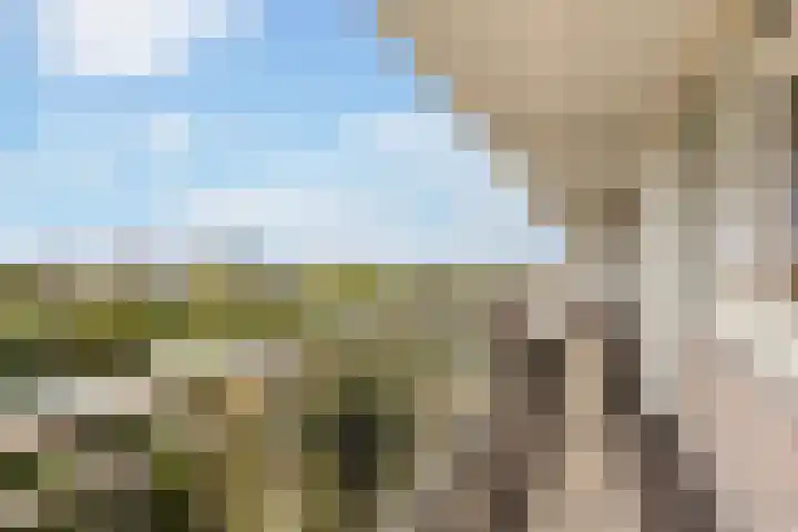 Eksterlaan 304 Vlaardingen thumbnail 5