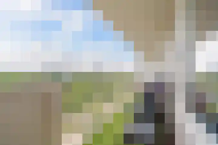 Eksterlaan 310 Vlaardingen thumbnail 32