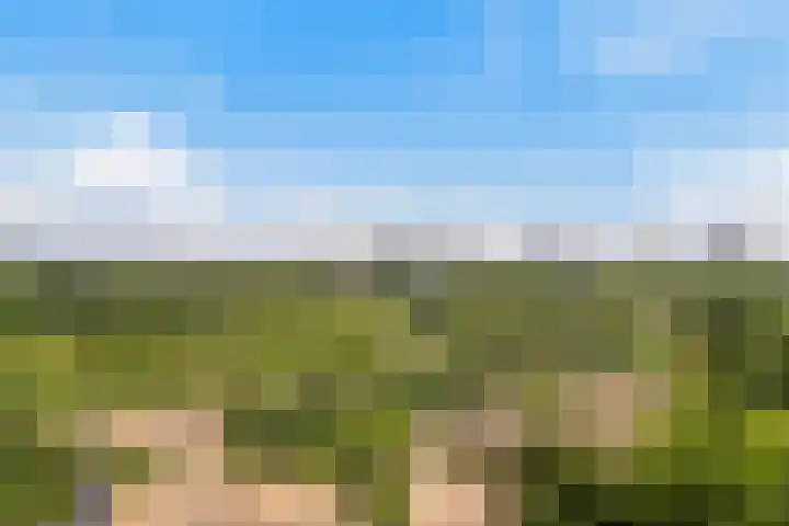 Eksterlaan 310 Vlaardingen thumbnail 35