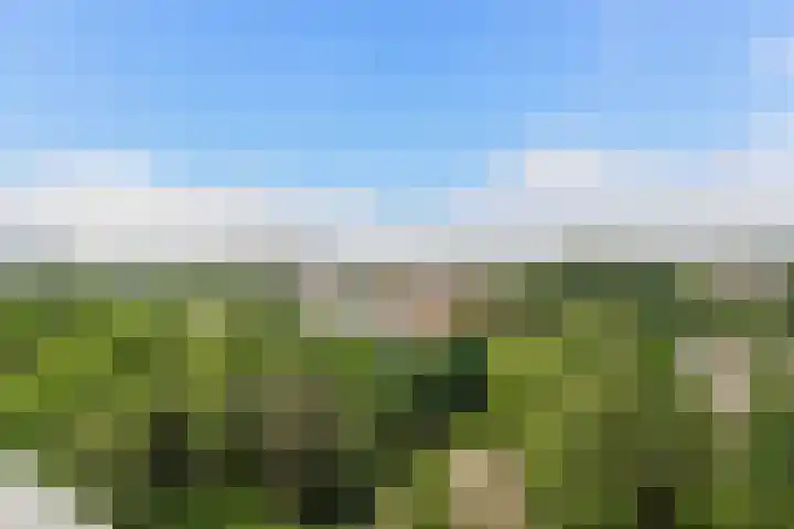 Eksterlaan 310 Vlaardingen thumbnail 36