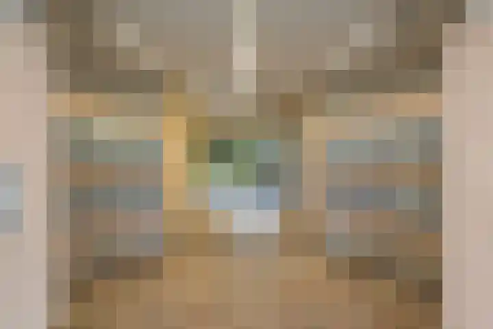 Eksterlaan 310 Vlaardingen thumbnail 8