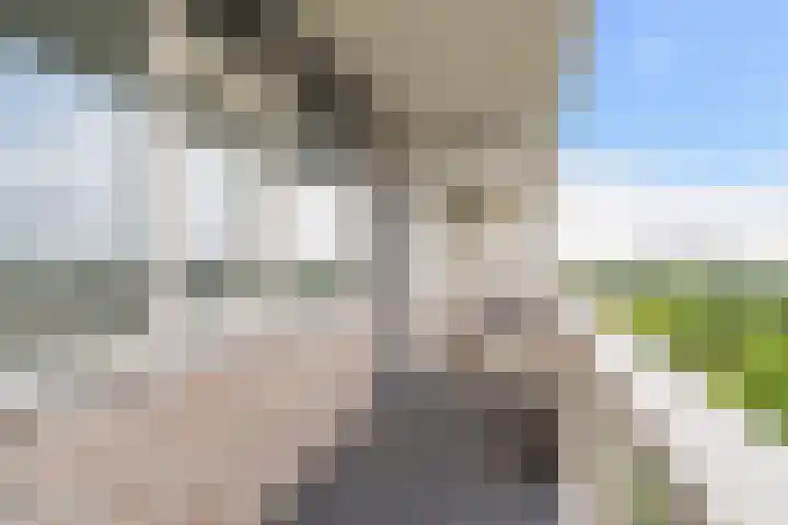 Eksterlaan 310 Vlaardingen thumbnail 9