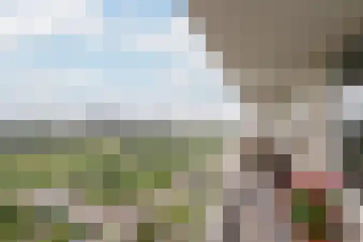 Eksterlaan 338 Vlaardingen thumbnail 13