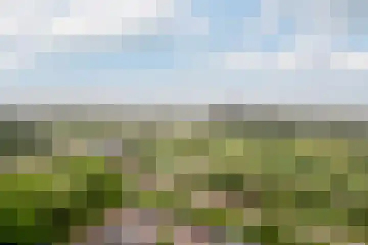 Eksterlaan 338 Vlaardingen thumbnail 15