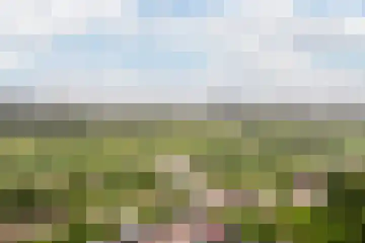 Eksterlaan 338 Vlaardingen thumbnail 16