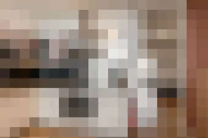 Eksterlaan 338 Vlaardingen thumbnail 19