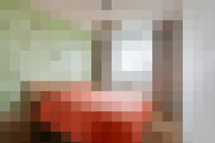 Eksterlaan 338 Vlaardingen thumbnail 21