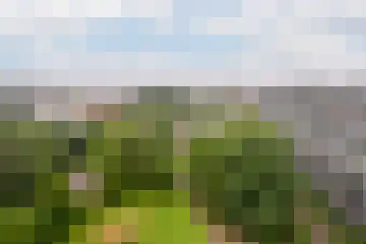 Eksterlaan 338 Vlaardingen thumbnail 31