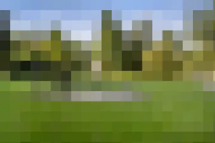 Eksterlaan 338 Vlaardingen thumbnail 32