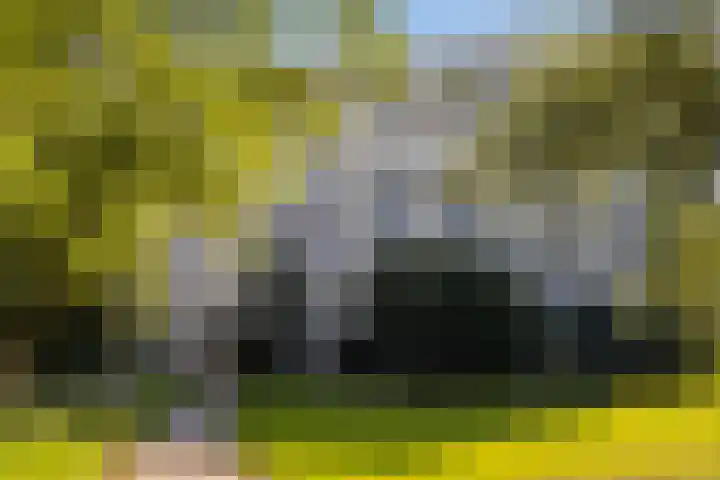 Eksterlaan 338 Vlaardingen thumbnail 35