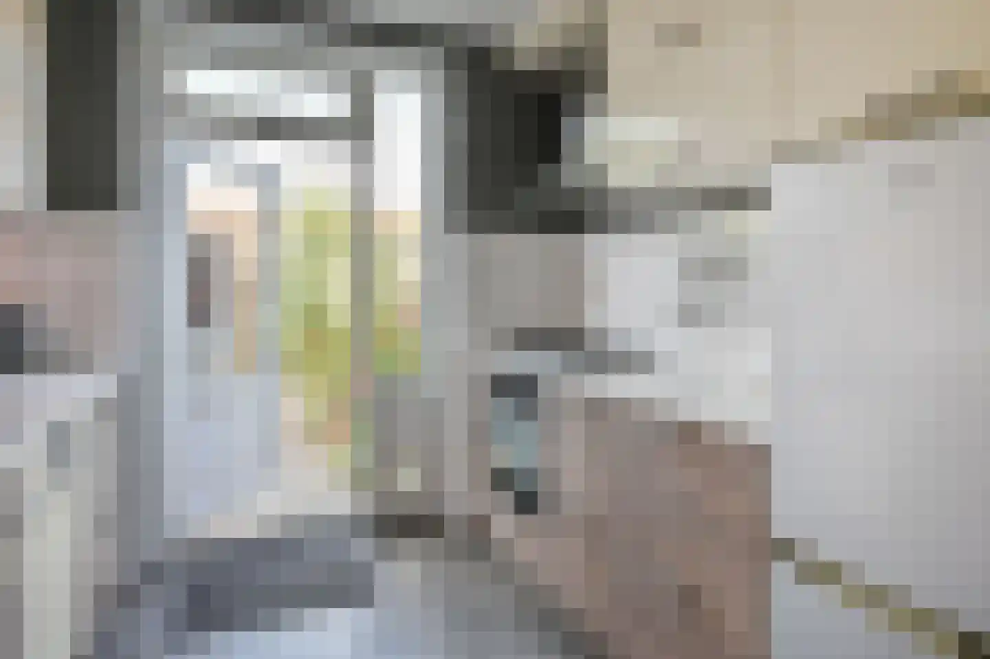Eksterlaan 6 Nederhorst den Berg thumbnail 7