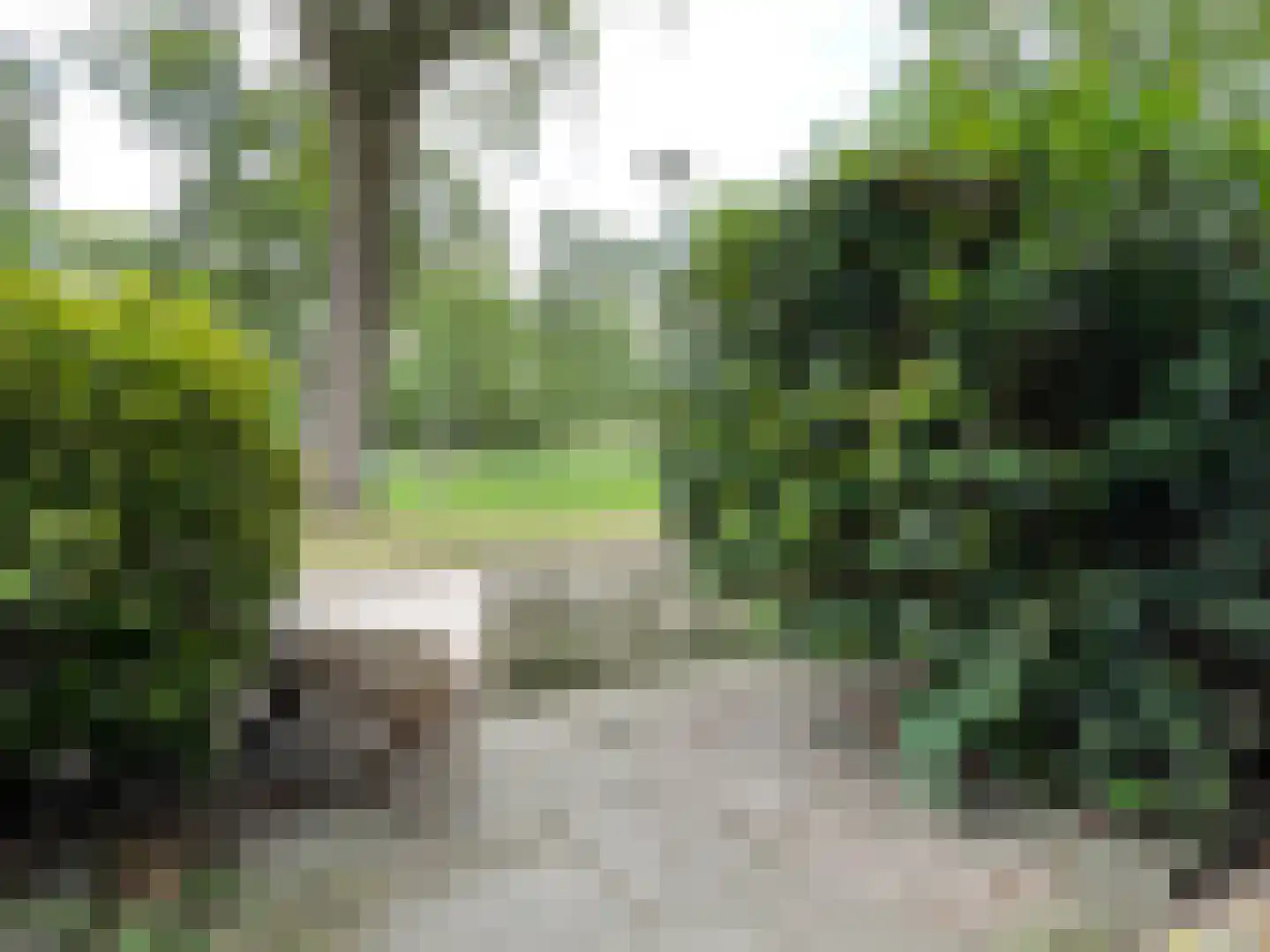 Eksterlaan 6 Nederhorst den Berg thumbnail 9