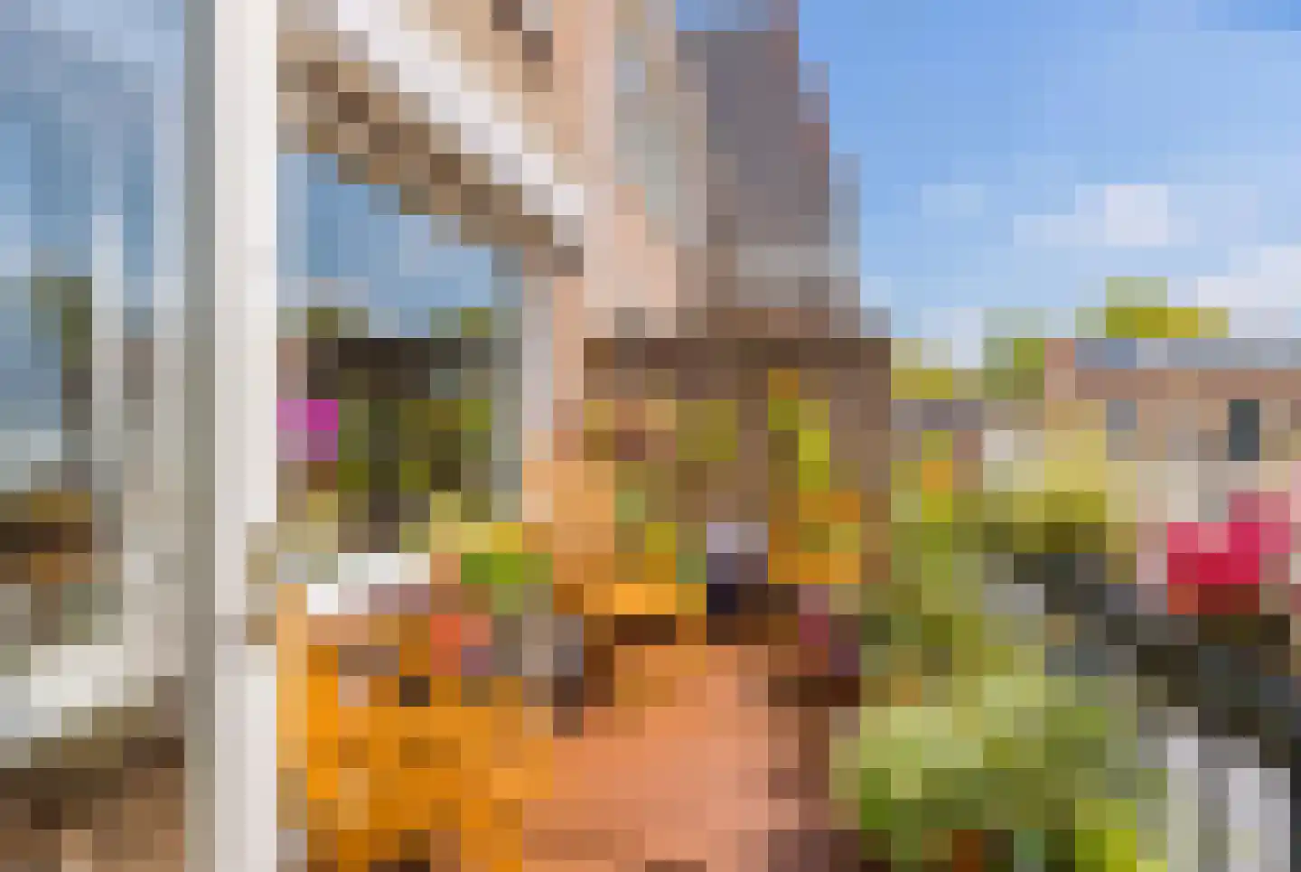 Eksterlaan 82 Haarlem thumbnail 4
