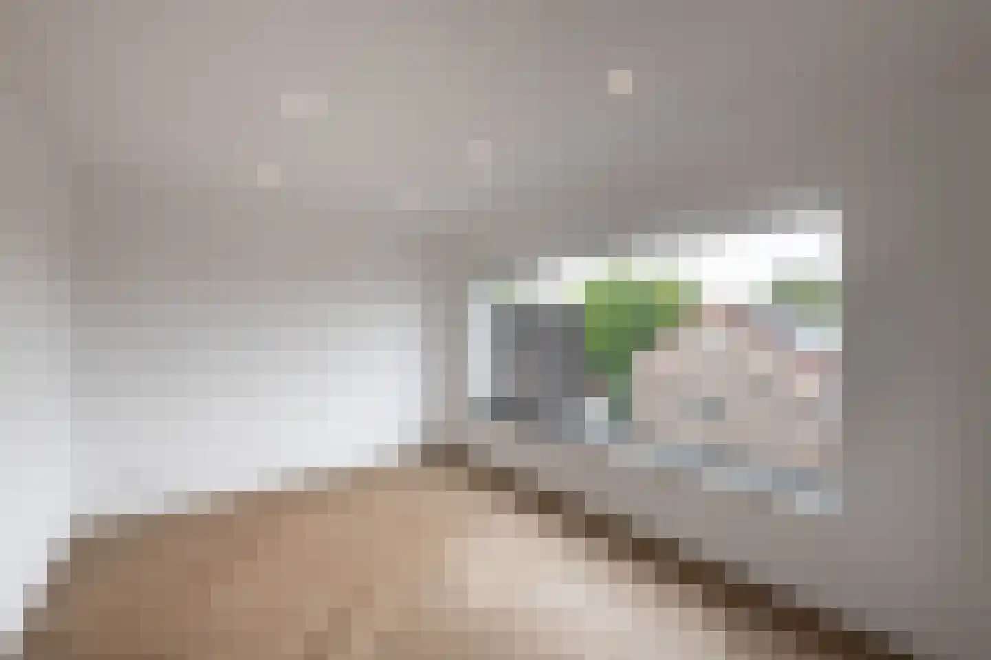 Eksterlaan 98 Haarlem thumbnail 37