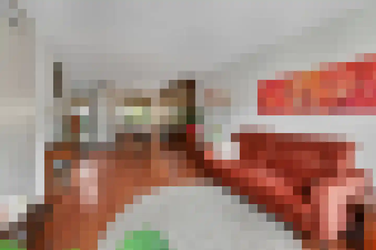Eksterpad 3 Rijswijk thumbnail 11