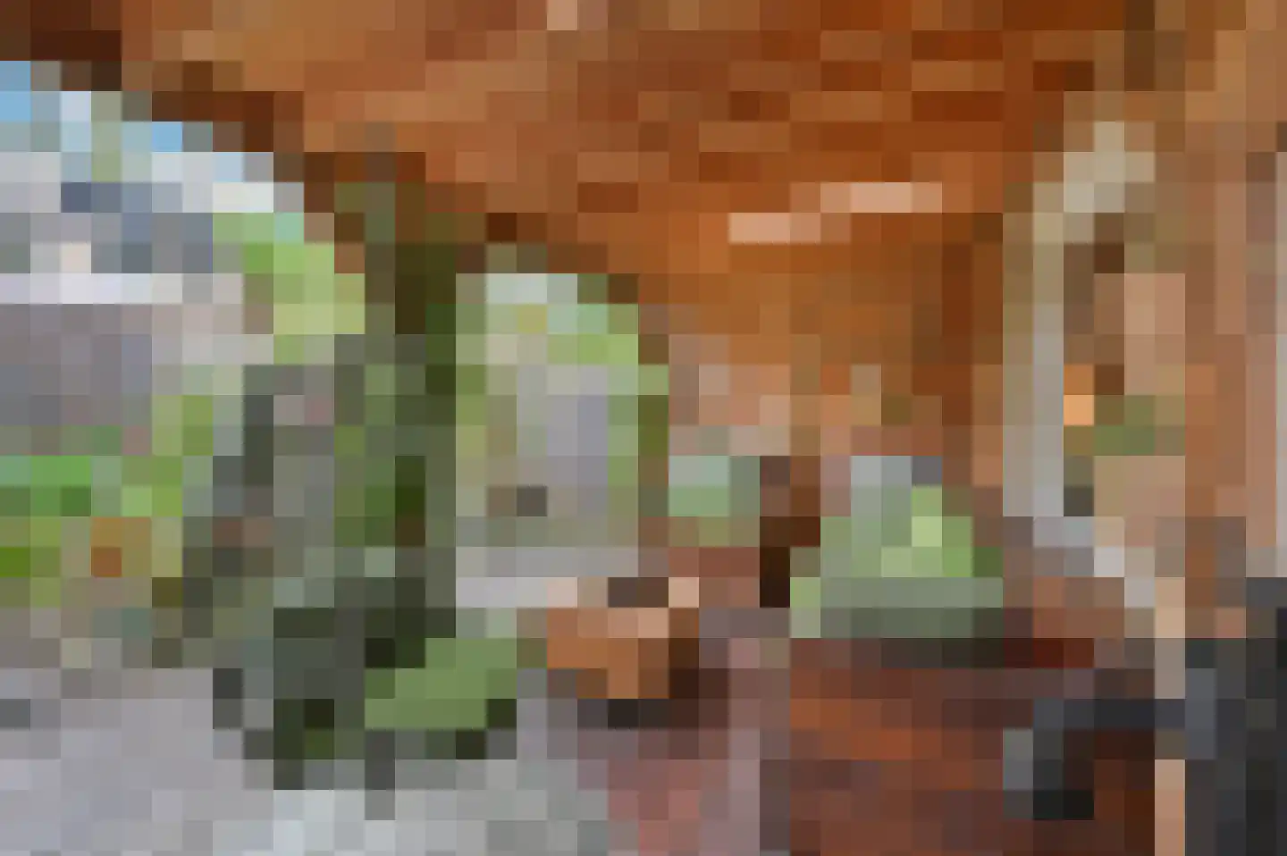 Eksterpad 3 Rijswijk thumbnail 19
